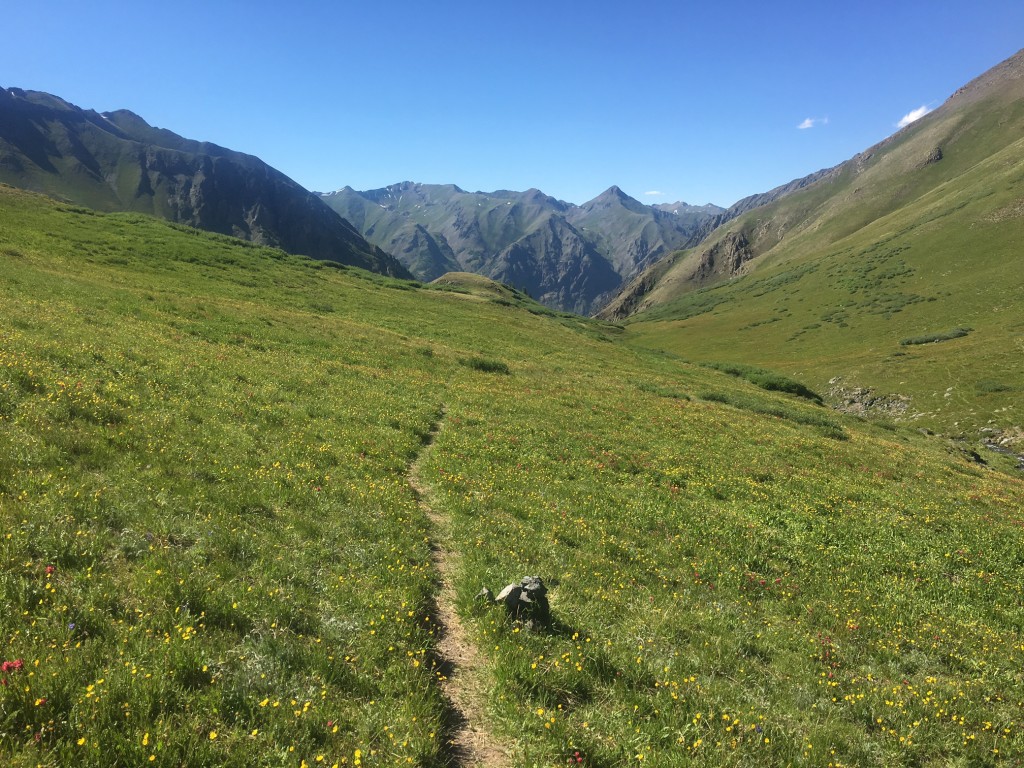 The upper drainage descending to Cunningham Gulch. Mile 90 of the 2016 clockwise running of Hardrock 100. 