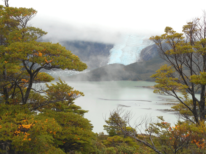 The heart of the wild Ultra Fiord course. Photo by Kerrie Bruxvoort.